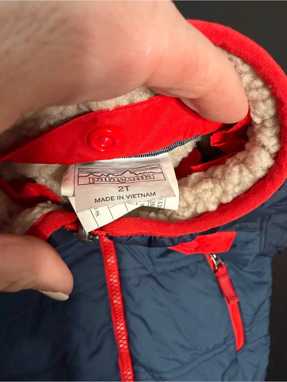 Patagonia Navy and Red Kids Puffer Jacket